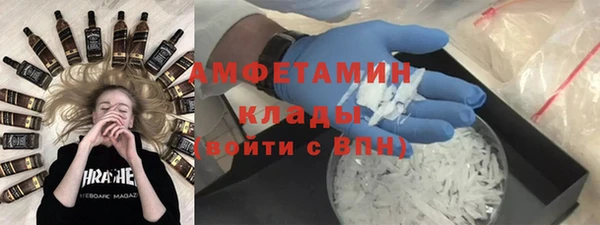 индика Коряжма