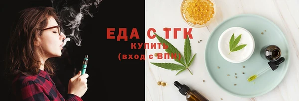индика Коряжма
