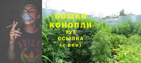 ешки Костерёво