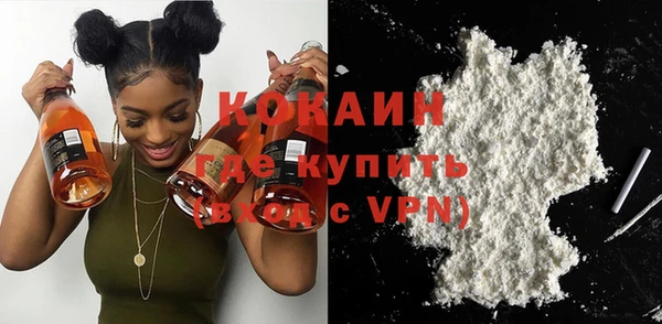 индика Коряжма